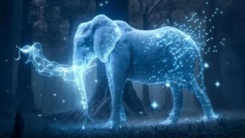 iboga-journey-accountability-1