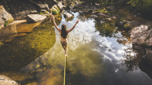 iboga-journey-summer-trust