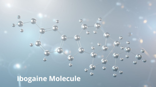 iboga-journey-ibogaine-difference-featured