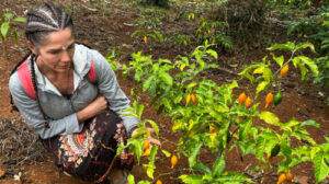 Iboga journey africa featured