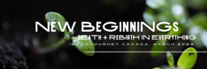 New beginnings