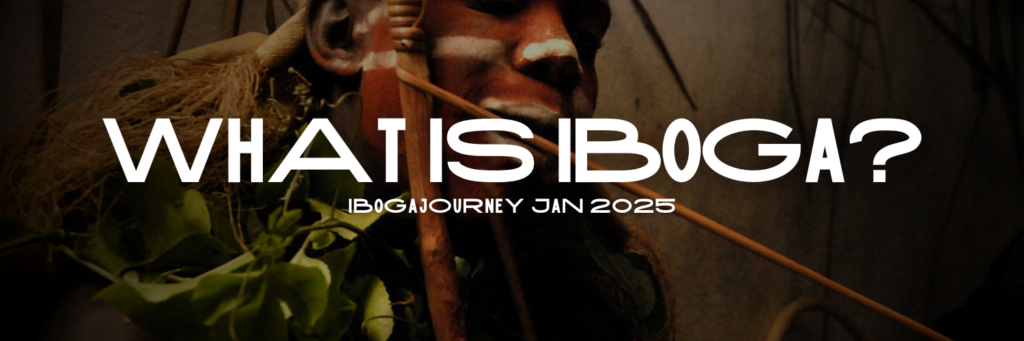What is iboga bottom